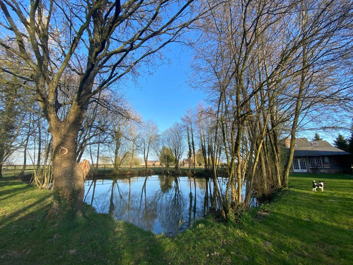 La Maison De L'Etang Manerbe Buitenkant foto