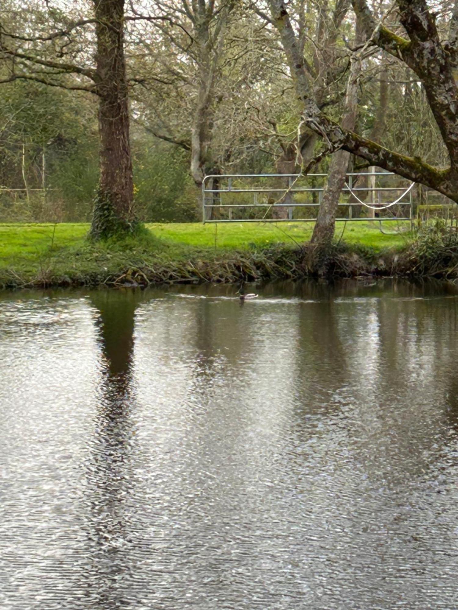 La Maison De L'Etang Manerbe Buitenkant foto