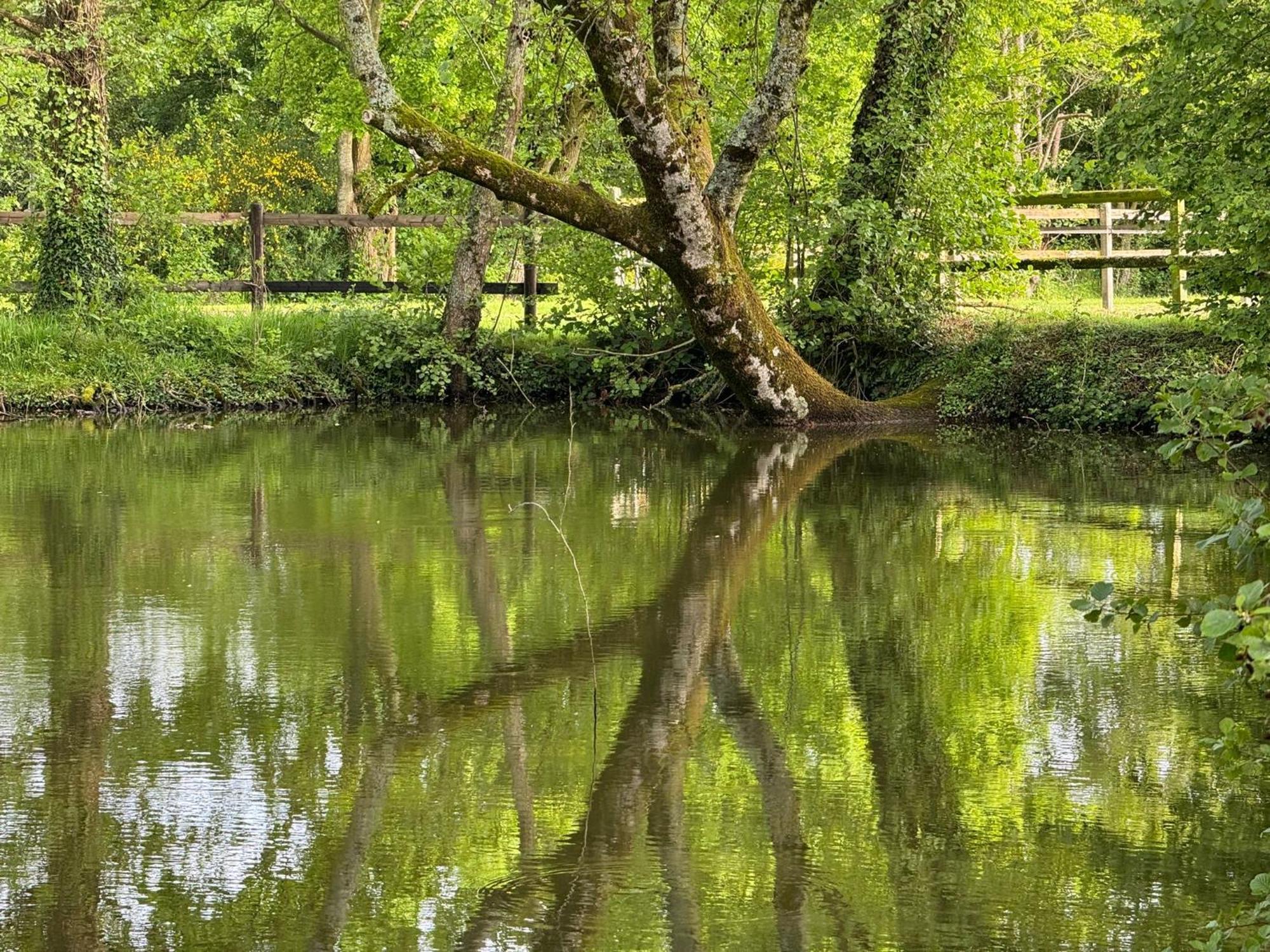 La Maison De L'Etang Manerbe Buitenkant foto